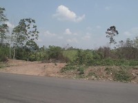 Landschap selva