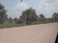 De weg...