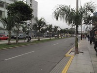 Avenida Arequipa