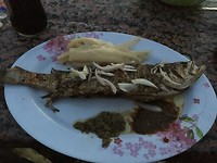 IMG_1785