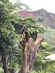 IMG_1810