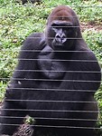IMG_1817