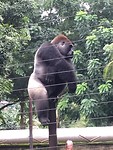 IMG_1820