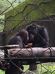 IMG_1824