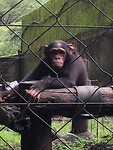 IMG_1826