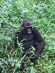 IMG_1832