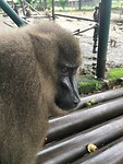 IMG_1769