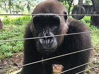 IMG_1939