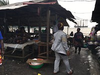 IMG_2004