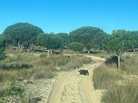 IMG-20260220-WA0004