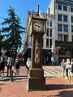 IMG_8528