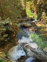 IMG_8545
