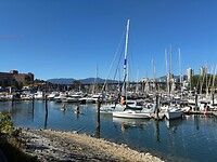 IMG_8546