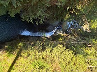 IMG_8542