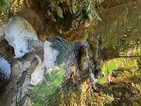 IMG_8545