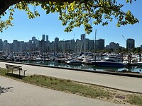 IMG_8553