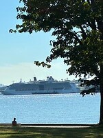 IMG_8557