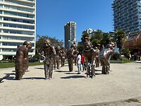 IMG_8561