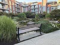 IMG_8564