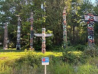 IMG_8554
