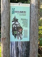 IMG_8612