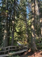 IMG_8613