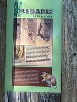 IMG_8615