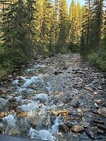 IMG_8629
