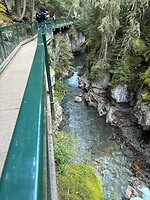 IMG_8631