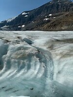 IMG_8684