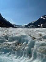IMG_8685