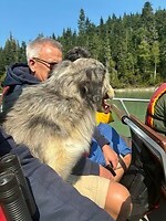 IMG_8714