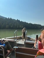 IMG_8716