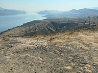IMG_8755