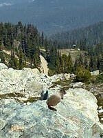 IMG_8774