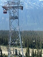 IMG_8779