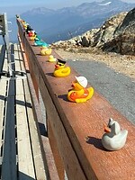 IMG_8802