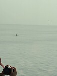 IMG_8823