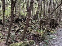 IMG_8841