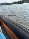 IMG_8907
