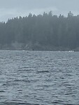 IMG_8893