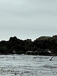IMG_8874