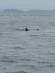 IMG_8882