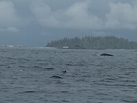 IMG_8899