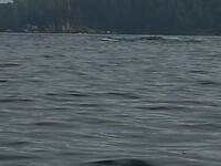 IMG_8900