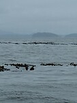 IMG_8885