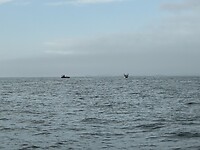 IMG_8890