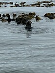 IMG_8889