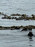 IMG_8888