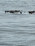 IMG_8886